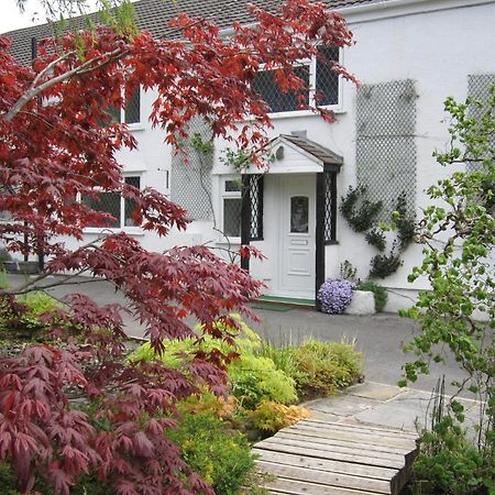 Cwmbach Guest House Нийт Екстериор снимка