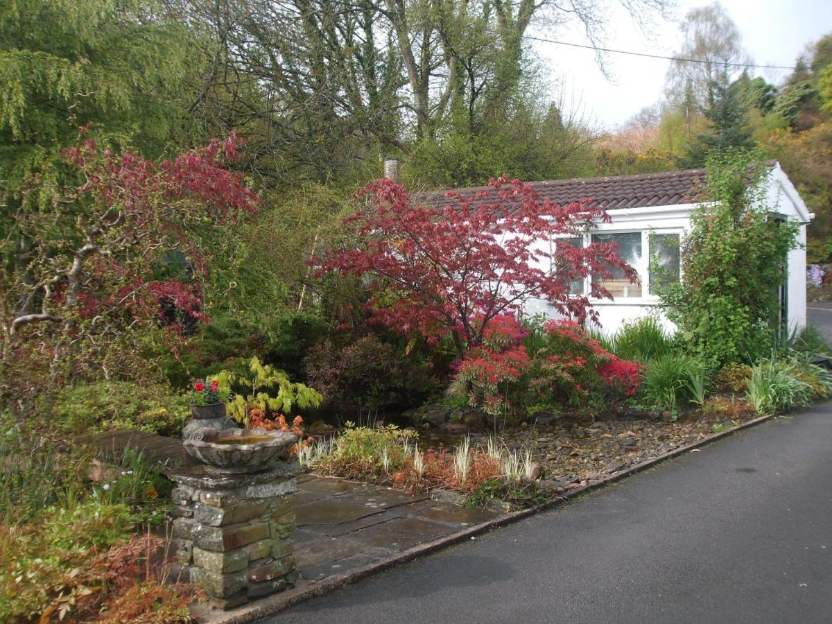 Cwmbach Guest House Нийт Екстериор снимка