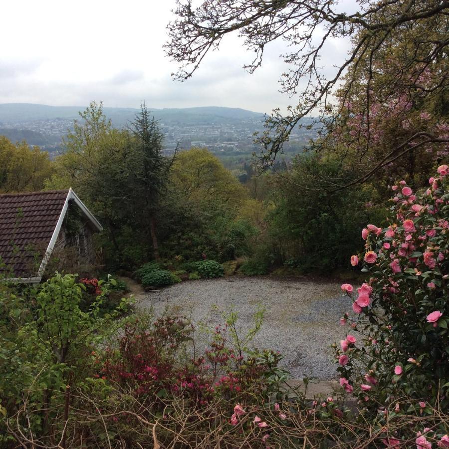 Cwmbach Guest House Нийт Екстериор снимка