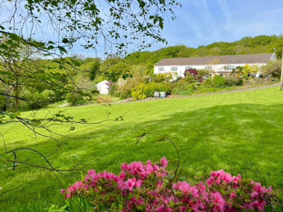 Cwmbach Guest House Нийт Стая снимка