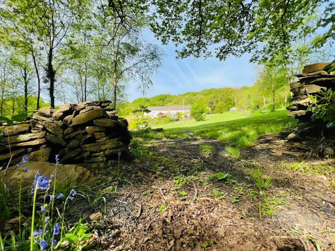 Cwmbach Guest House Нийт Стая снимка