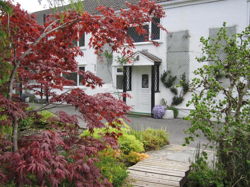 Cwmbach Guest House Нийт Екстериор снимка